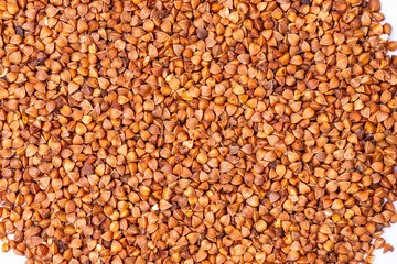 Buckwheat