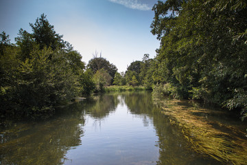 Views of the River Bure between Coltishall and the end of navigation, The Broads, Norfolk, UK