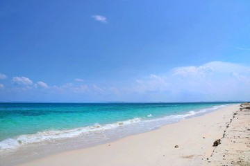 Fototapeta na wymiar tropical beach with blue sky