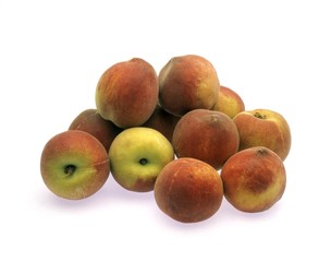 Peach, persica vulgaris against White Background
