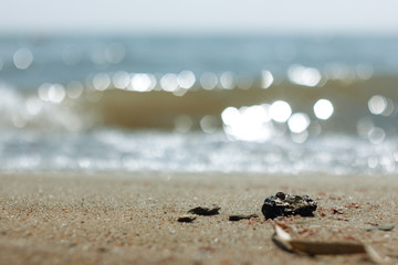 Close-up of sand on the beach and water of the Yarovoe salt lake (Altai Territory).