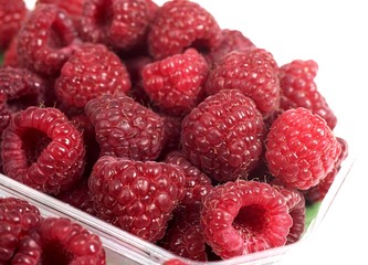 Raspberries, rubus idaeus against White Background