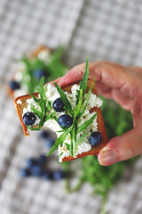 Selective focus. Macro. Toast with cottage cheese, blueberries and arugula in a man's hand. Healthy snack. The keto diet.