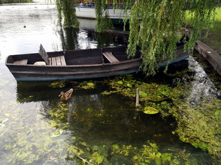 Alter Bootssteg mit Ruderboot im Sommer im Grünen in Seehausen bei Murnau im Kreis...