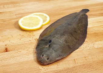 Fresh Sole, solea solea and Lemon