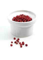 Pink Pepper, schinus terebinthifolius