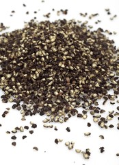 Mignonette Pepper, piper nigrum against White Background