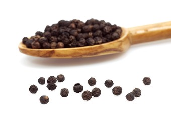 Black Peppercorn, piper nigrum against White Background