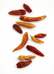Bird Pepper, capsicum frutescens against White Background