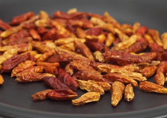 Bird Pepper, capsicum frutescens