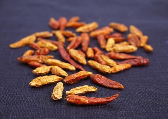 Bird Pepper, capsicum frutescens