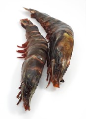 Fresh Mediterranean Praws or Gambas against White Background