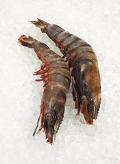 Fresh Mediterranean Praws or Gambas on Ice