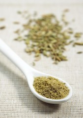 Powder and Seeds of Fennel, foeniculum vulgare