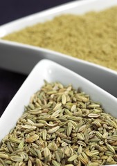 Powder and Seeds of Fennel, foeniculum vulgare