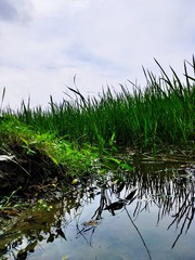 Obraz premium Beautiful Landscape with beautiful view and scenery