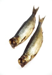 Smoked Herring or Bouffi Bloater, clupea harengus