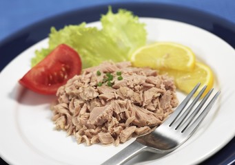Salad Plate with Tuna Fish, Tomato and Lemon