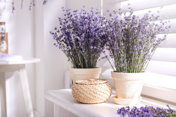 Beautiful lavender flowers on window sill indoors
