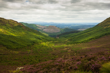 Views of Stirlingshire in Scotland on a lovely summersday from the top of the mountain Ben Ledi
