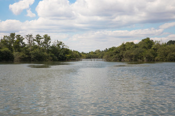 View of Hoveton Little Broad, The Broads, Norfolk, UK