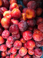 Large display of fresh red plums