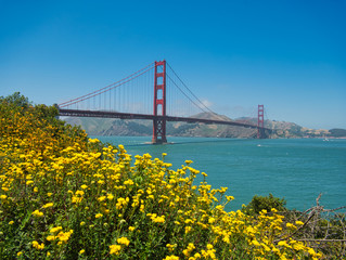 Die Golden Gate Bridge mit Blumen im Vordergrund