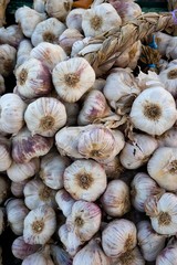Garlic, allium savitum at Vegetable Market in Normandy