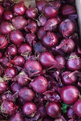 Red Onions, allium cepa at Vegetable Market