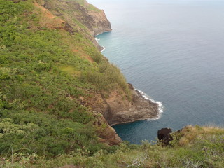 Hawaiian Landscapes