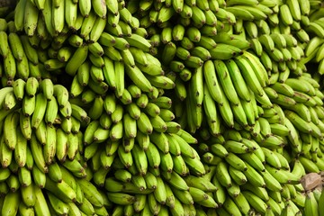 Bananas at Atalaya Village in Peru