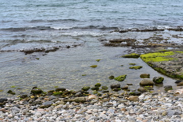 colored stones on the beach