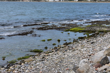 colored stones on the beach