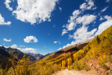 Fototapeta na wymiar Autumn in Colorado