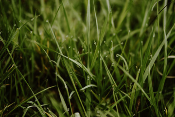 Yoga and Mindfulness in the Alps