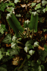 Yoga and Mindfulness in the Alps