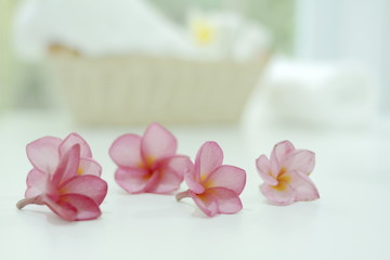 Fototapeta na wymiar Plumeria flower spa concept