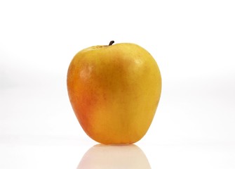 Golden Apple, malus domestica against White Background