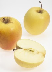 Golden Apples, malus domestica against White Background