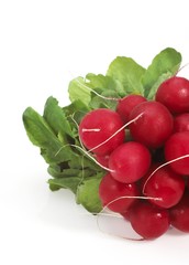 Red Radish, raphanus sativus against White Background