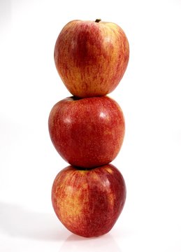 Royal Gala Apples, malus domestica against White Background