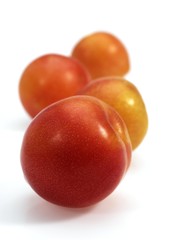 Yellow Plums against White Background