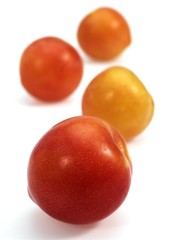 Yellow Plums against White Background