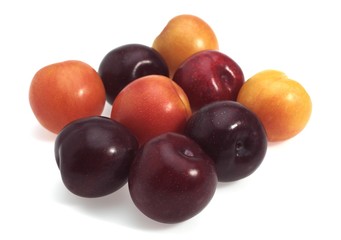 Red and Yellow Plums against White Background