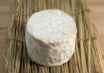 Brillat Savarin, French Cheese produced from Cow's Milk