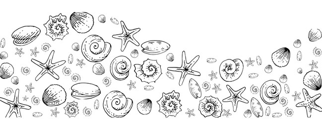 Seashells, snails, starfish, rapanas. Outline hand drawing. Isolated vector object on white background. Inhabitants of the ocean floor.