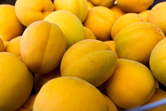 Closeup of apricots