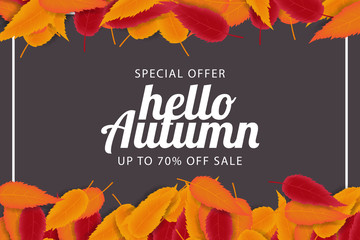Autumn Sale Background with Hand Drawn Autumn Text and Leaves around it. vector illustration