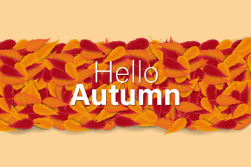 Autumn Sale Background with Hand Drawn Autumn Text and Leaves around it. vector illustration