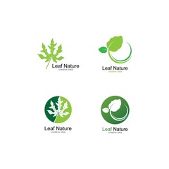 green leaf ecology nature element vector